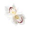 Hawaiian Flower Hair Clips Artificial Orchid Flower Hair Clip